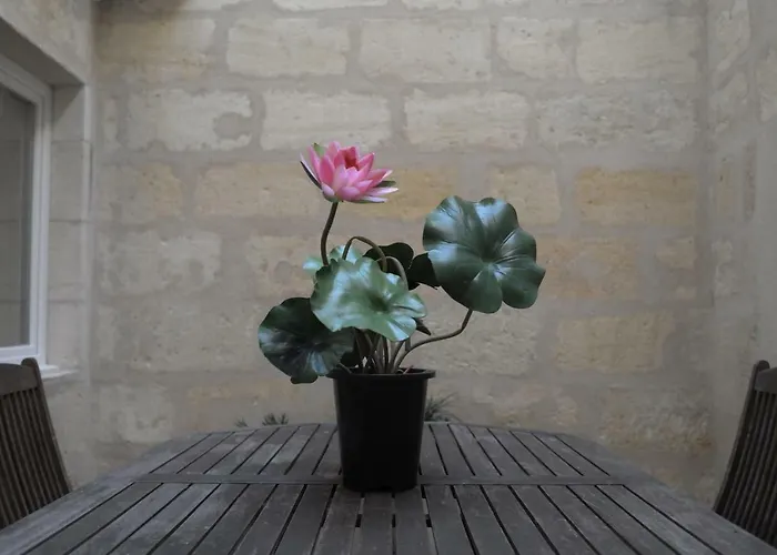 Millésime St Rèmi *