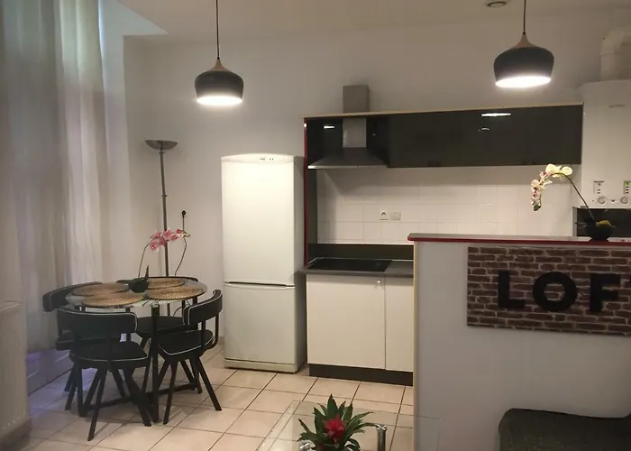 Apartment Millesime St Remi *