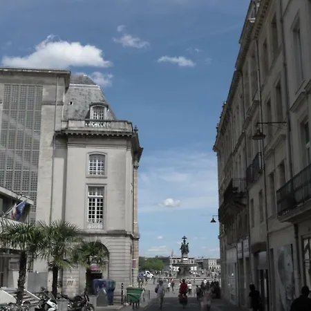 Millesime St Remi Bordéus